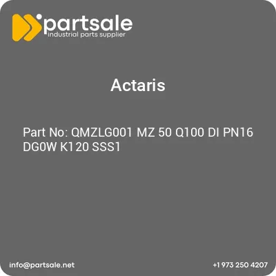 actaris-qmzlg001-mz-50-q100-di-pn16-dg0w-k120-sss1