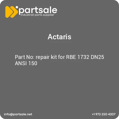 actaris-repair-kit-for-rbe-1732-dn25-ansi-150