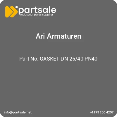 gasket-dn-2540-pn40