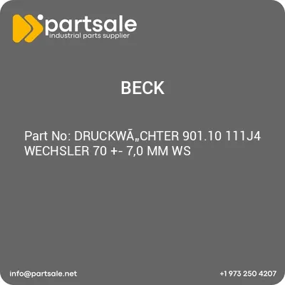 druckwachter-90110-111j4-wechsler-70-70-mm-ws