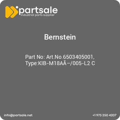 bernstein-artno6503405001-typekib-m18aa005-l2-c