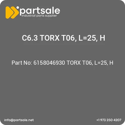 6158046930-torx-t06-l25-h