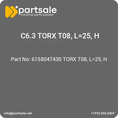 6158047430-torx-t08-l25-h