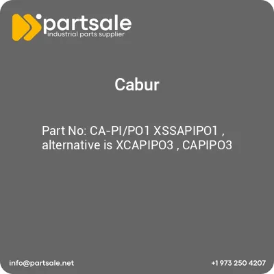 ca-pipo1-xssapipo1-alternative-is-xcapipo3-capipo3