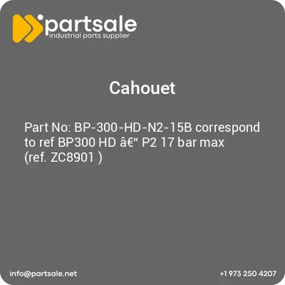 bp-300-hd-n2-15b-correspond-to-ref-bp300-hd-a-p2-17-bar-max-ref-zc8901