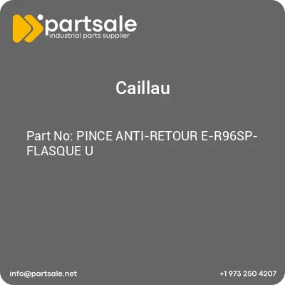 pince-anti-retour-e-r96sp-flasque-u