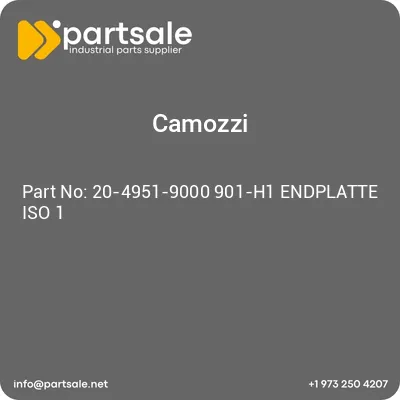 20-4951-9000-901-h1-endplatte-iso-1