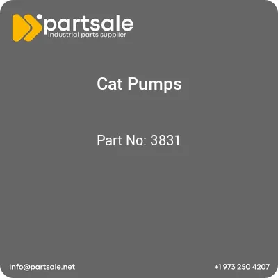 cat-pumps-3831