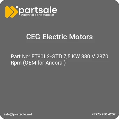 et80l2-std-75-kw-380-v-2870-rpm-oem-for-ancora