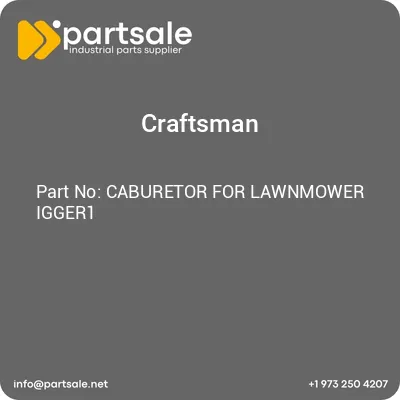 caburetor-for-lawnmower-igger1