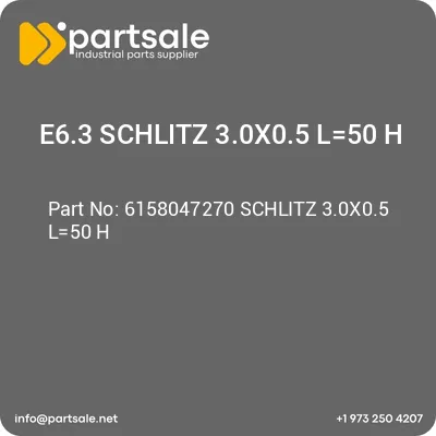 e63-schlitz-30x05-l50-h-6158047270-schlitz-30x05-l50-h