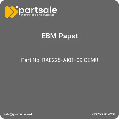 rae225-ai01-09-oem
