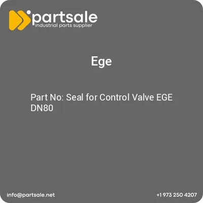 seal-for-control-valve-ege-dn80