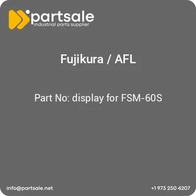 display-for-fsm-60s