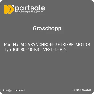 groschopp-ac-asynchron-getriebe-motor-typ-igk-80-40-b3-ve31-d-b-2