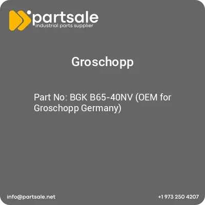 groschopp-bgk-b65-40nv-oem-for-groschopp-germany