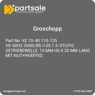 ke-70-40-110-125-v0-50hzsg80b5-i251-3-stufig-getriebewelle-10-mm-h6-x-20-mm-lang-mit-nutpaayfed