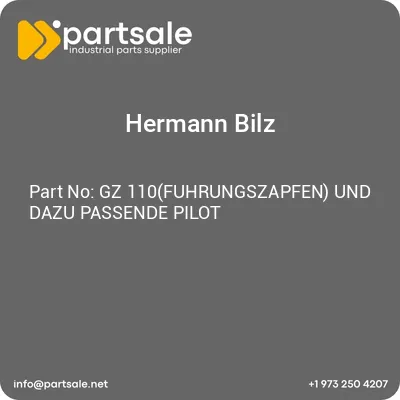 hermann-bilz-gz-110fuhrungszapfen-und-dazu-passende-pilot