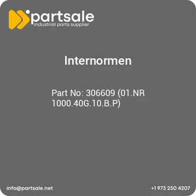 internormen-306609-01nr-100040g10bp