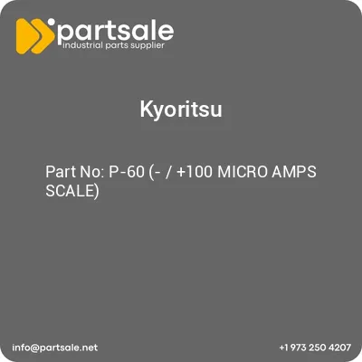 p-60-100-micro-amps-scale