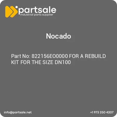 822156eo0000-for-a-rebuild-kit-for-the-size-dn100