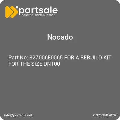 827006e0065-for-a-rebuild-kit-for-the-size-dn100