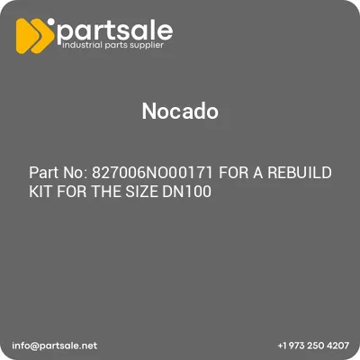 827006no00171-for-a-rebuild-kit-for-the-size-dn100