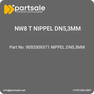 9092009571-nippel-dn53mm