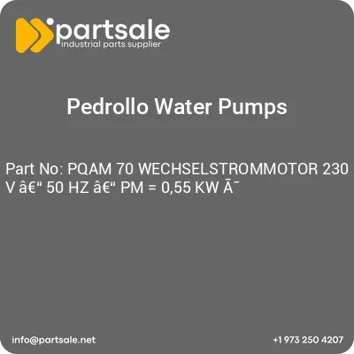 pqam-70-wechselstrommotor-230-v-a-50-hz-a-pm-055-kw-a