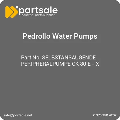 selbstansaugende-peripheralpumpe-ck-80-e-x