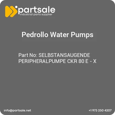 selbstansaugende-peripheralpumpe-ckr-80-e-x