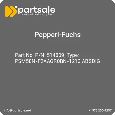 pn-514809-type-psm58n-f2aagr0bn-1213-absdig