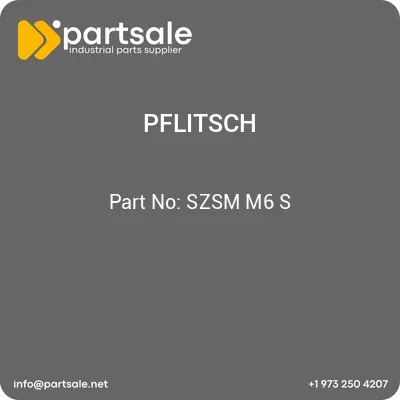 pflitsch-szsm-m6-s