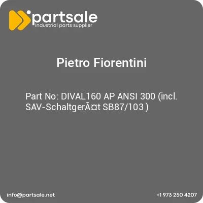 dival160-ap-ansi-300-incl-sav-schaltgerat-sb87103