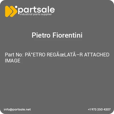 paetro-regalatar-attached-image