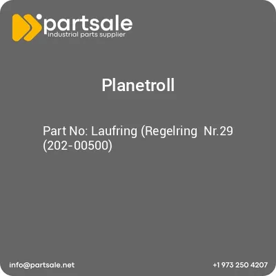 laufring-regelring-nr29-202-00500