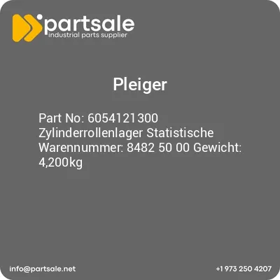 6054121300-zylinderrollenlager-statistische-warennummer-8482-50-00-gewicht-4200kg