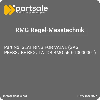 seat-ring-for-valve-gas-pressure-regulator-rmg-650-10000001