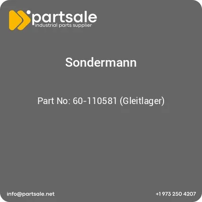 sondermann-60-110581-gleitlager