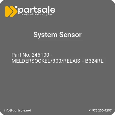 system-sensor-246100-meldersockel300relais-b324rl