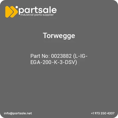 torwegge-0023882-l-ig-ega-200-k-3-dsv