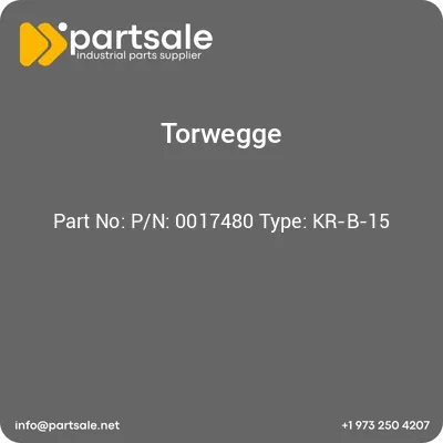 torwegge-pn-0017480-type-kr-b-15