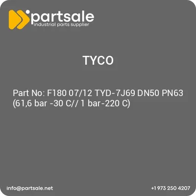 f180-0712-tyd-7j69-dn50-pn63-616-bar-30-c-1-bar-220-c