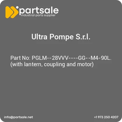 ultra-pompe-srl-pglm-28vvv-gg-m4-90l-with-lantern-coupling-and-motor