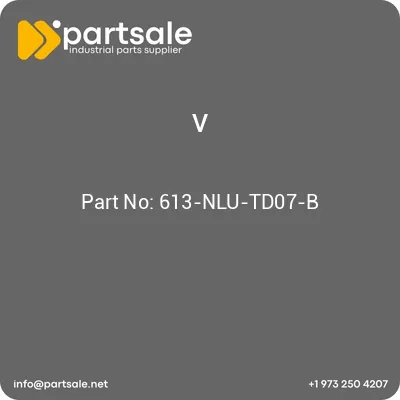 613-nlu-td07-b