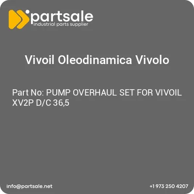 pump-overhaul-set-for-vivoil-xv2p-dc-365